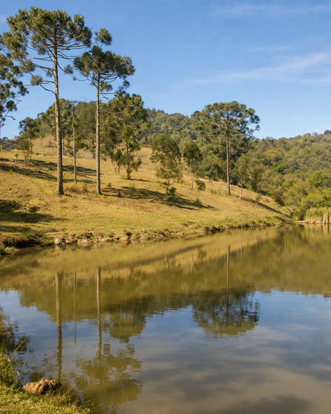 Acomodações aconchegantes do Rancho