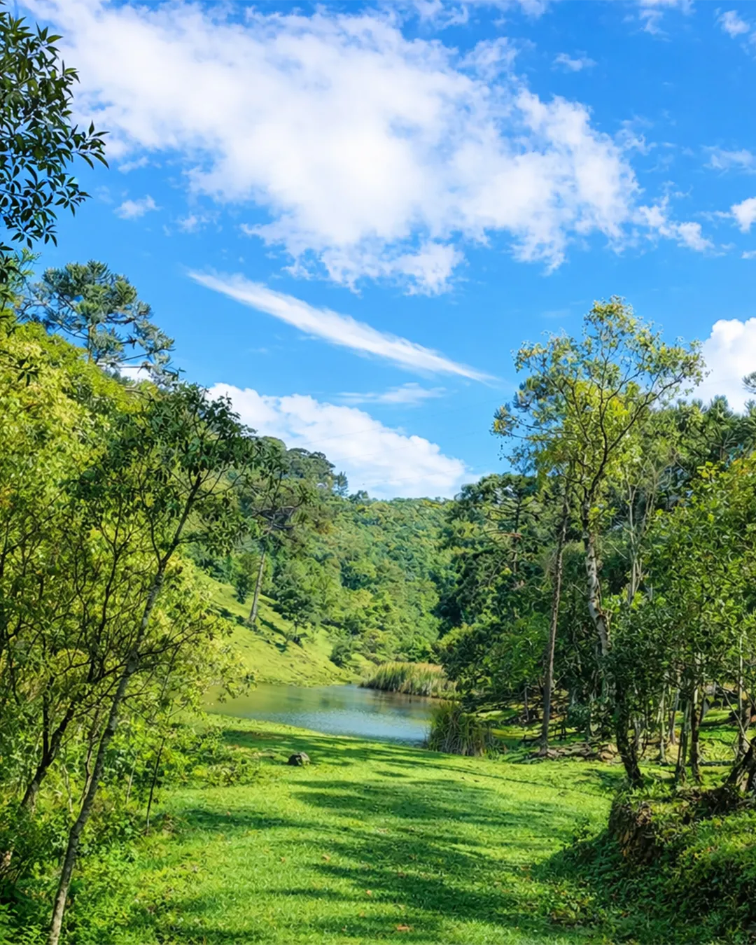 Detalhes do nosso espaço na natureza