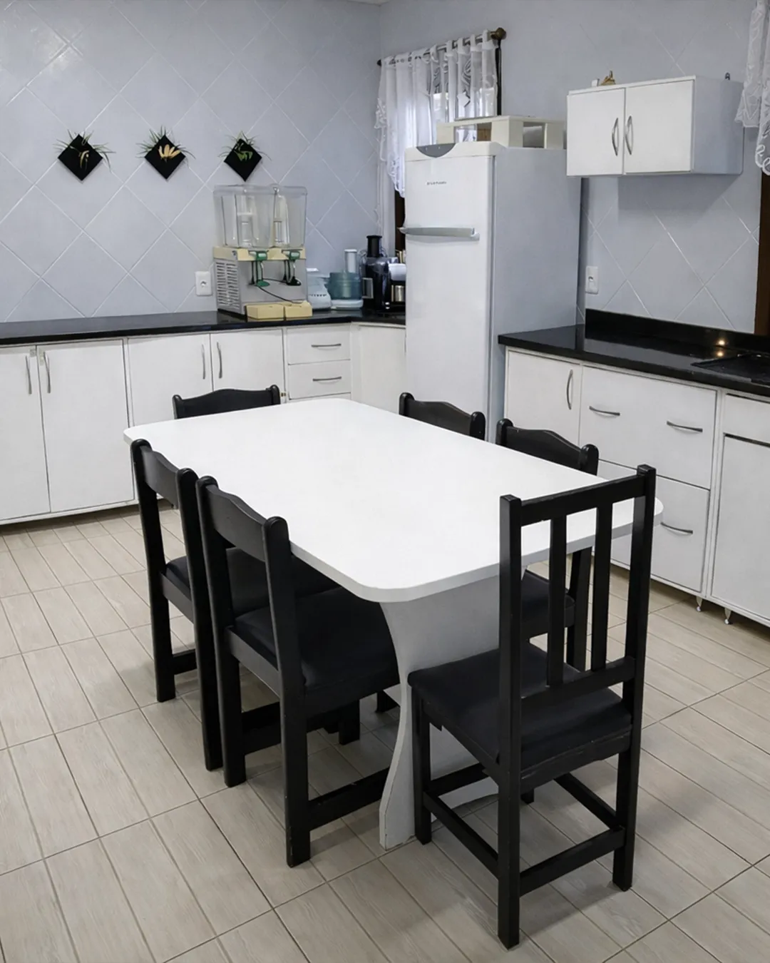 Natureza exuberante ao redor